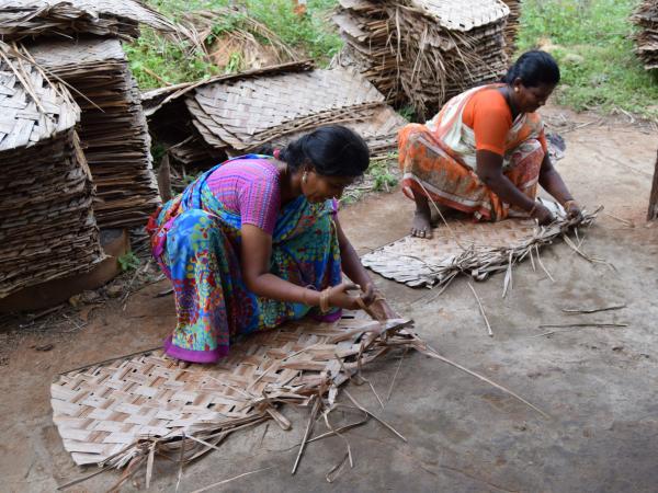 Women making thatch, India