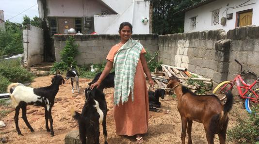 Woman with five goats