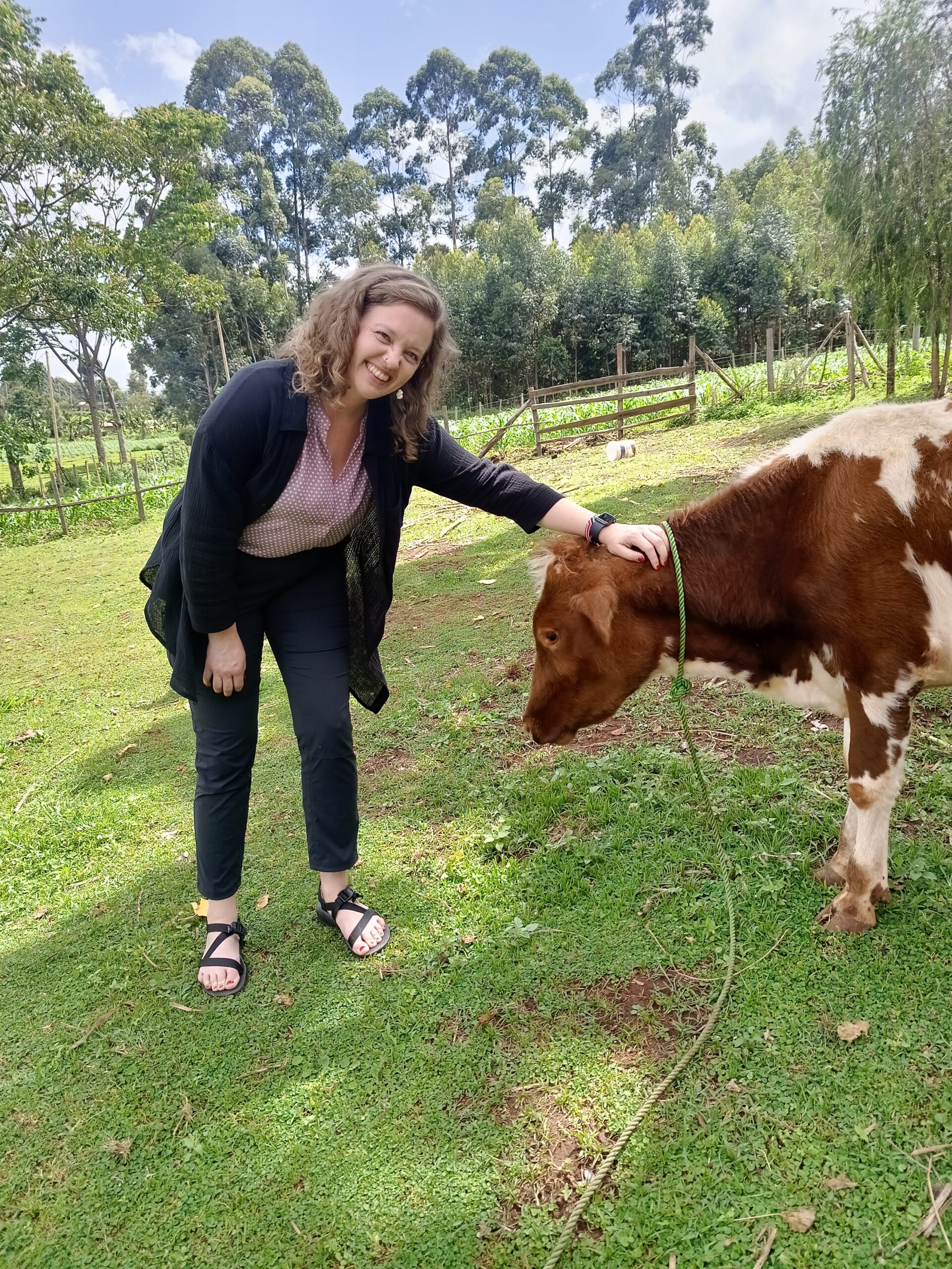 A woman stands in a field petting a brown and white cow